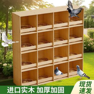 鸽子巢箱实木拼装箱赛鸽信鸽户外鸽子笼养殖配对笼家用阳台鸽批发