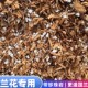 兰花植料兰花专用植料杉木屑加珍珠岩春兰春剑蕙兰等国兰专用植料