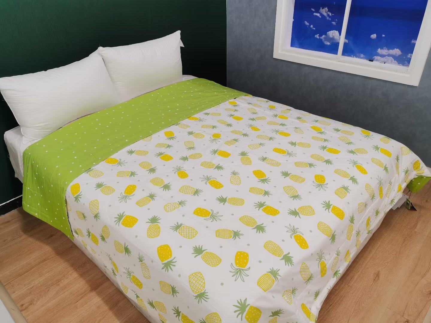 国欣棉被软眠眠纯棉被新款可水洗单人双人夏凉被双人加大棉花被