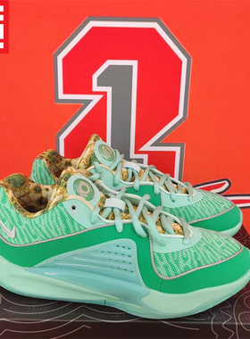 NIKE耐克男子款KD16杜兰特气垫缓震实战篮球鞋DV2916-004-FJ4238