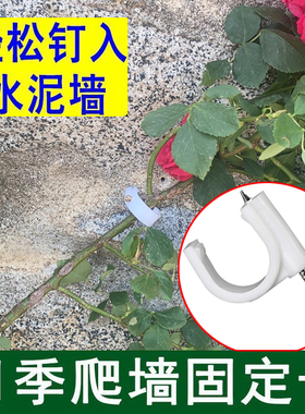 月季爬墙固定器绿植上墙固定卡扣园艺花枝牵引辅助水泥钉户外墙钉