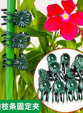 园艺花枝造型固定夹蝴蝶兰铁线莲绿萝夹子枝条藤蔓爬藤植物支撑夹