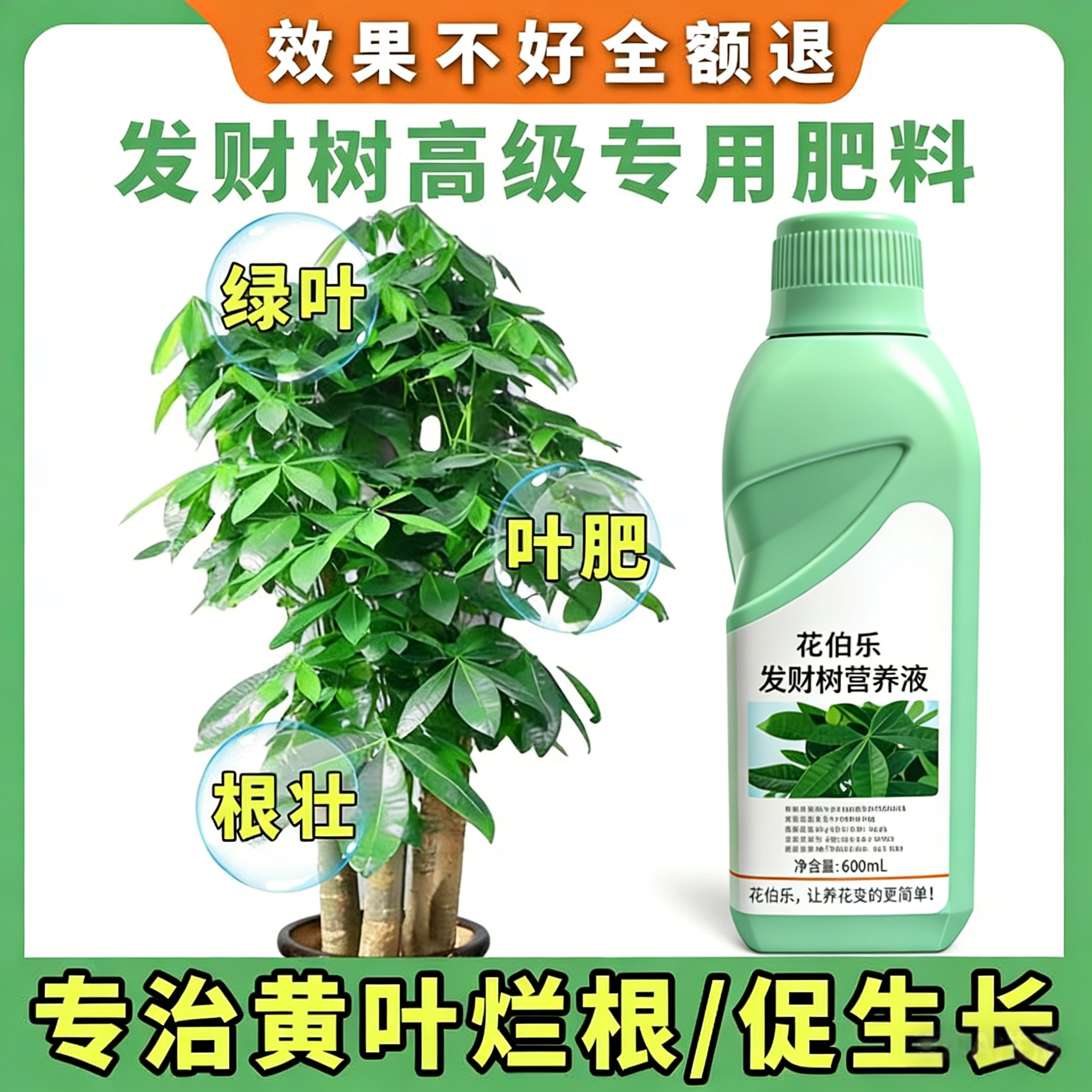 发财树黄叶掉叶专用营养液