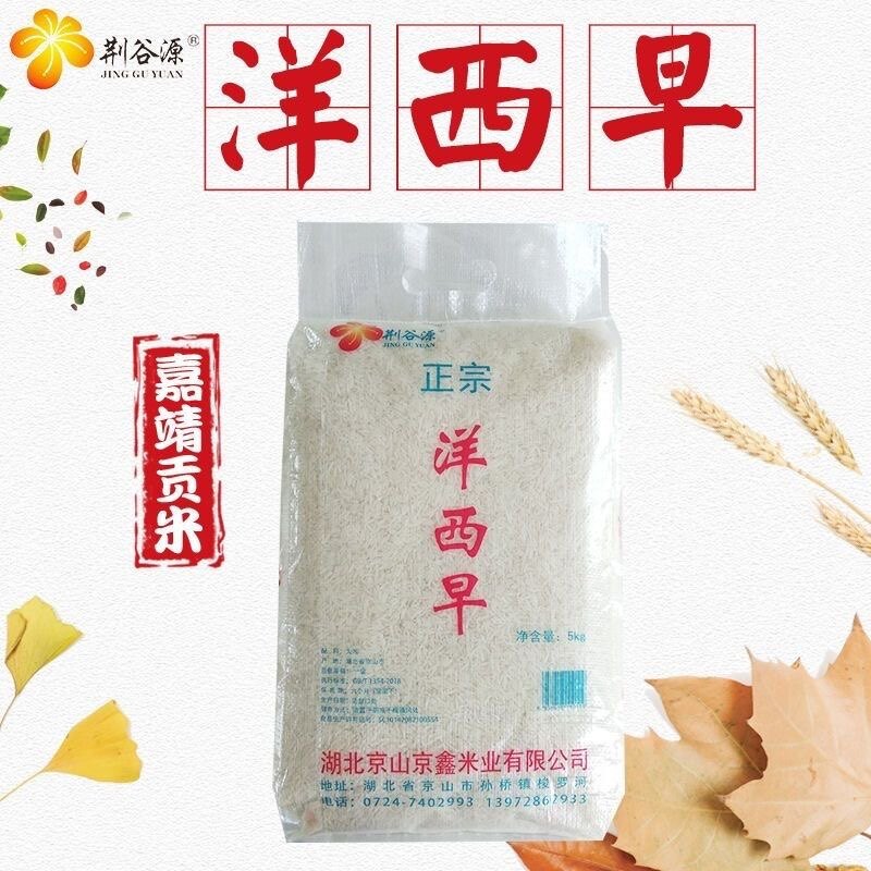 洋西早京山桥米洋硒早10斤包邮长粒香米湖北特产当季新米