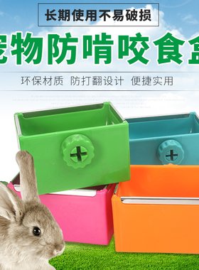 兔子食盆荷兰猪兔笼用品