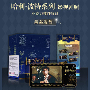 正版哈利波特系列亚克力票根挂件盲盒影视剧照德拉科赫敏麦格周边