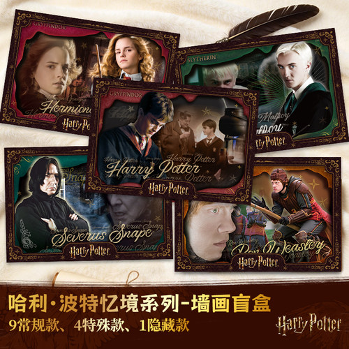 正版哈利波特忆境亚克力墙画盲盒