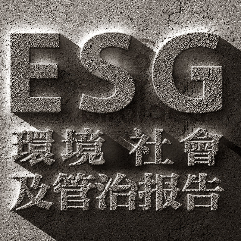 Environmental(环境)Social(社会)Governance(治理)责任报告设计 - 实物图