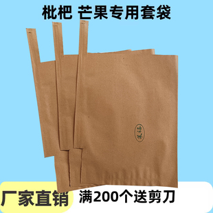枇杷套袋枇杷专用袋子果袋子防虫鸟芒果袋子果袋水果套袋芒果套袋