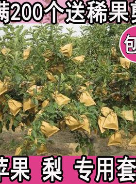 梨子专用套袋防水防虫鸟