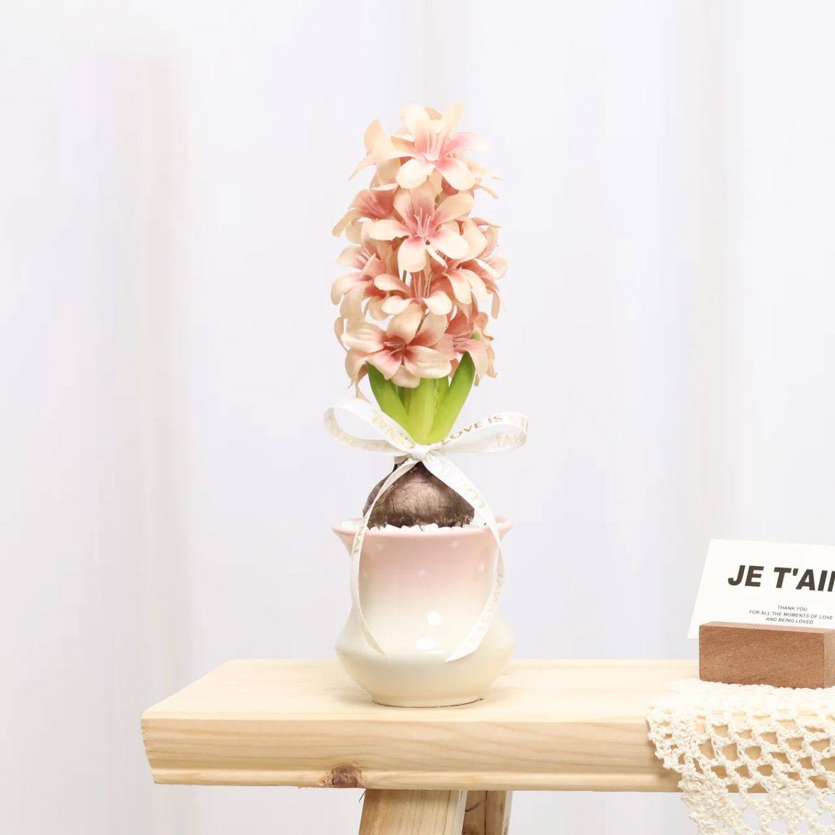 粉花风信子盆栽开花植物室内客厅好养水培办公室桌面绿植耐寒花卉,鲜花速递/花卉仿真/绿植园艺,绿植,淘宝优惠券,粉丝福利购,淘宝优惠卷