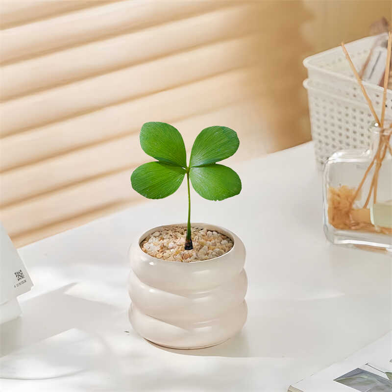 幸运草防辐射办公室内桌面绿植