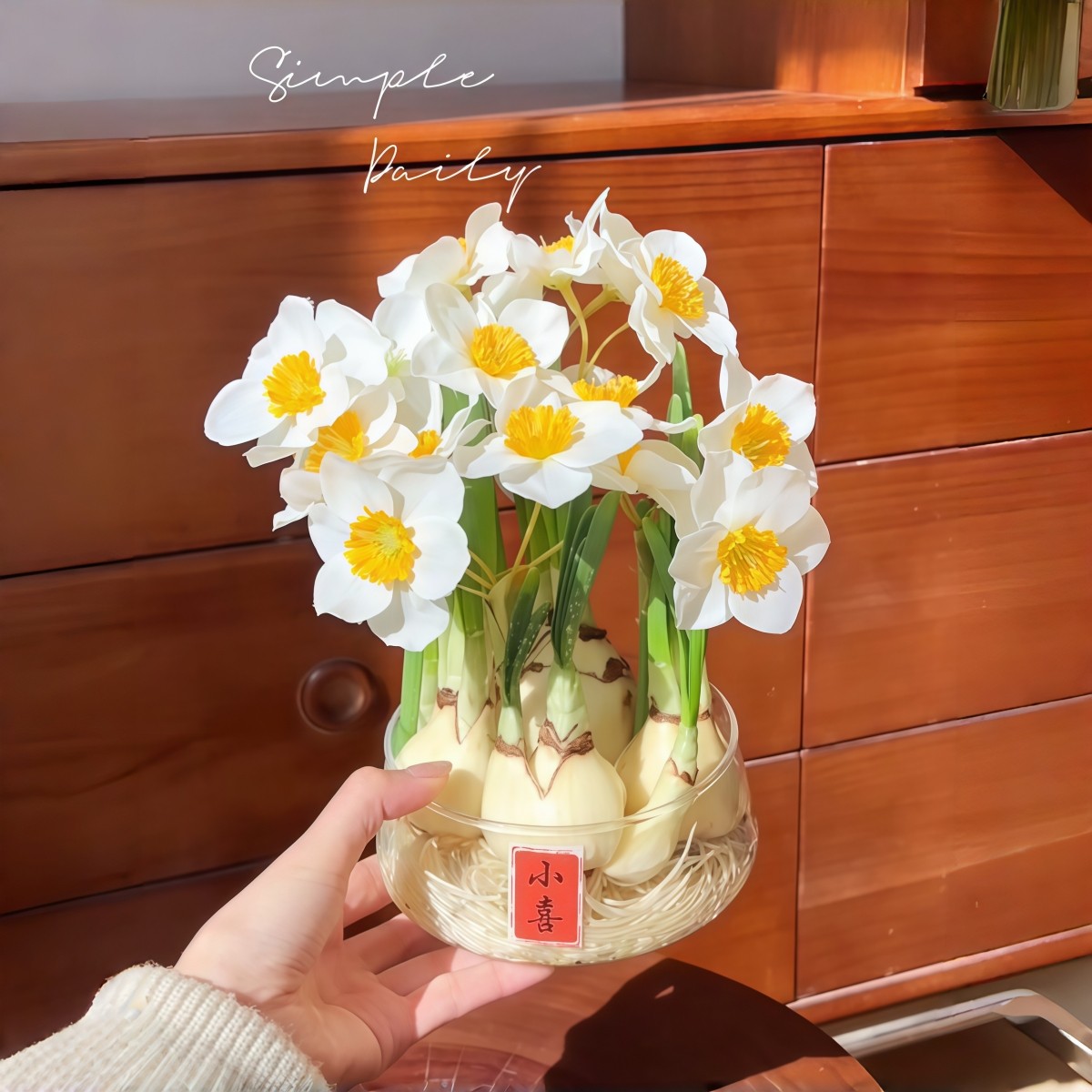 正宗福建漳州水仙花年宵花卉春节盆栽开花植物室内外绿植带香味,鲜花速递/花卉仿真/绿植园艺,绿植,淘宝优惠券,粉丝福利购,淘宝优惠卷