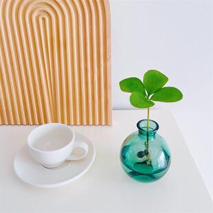 墨西哥铁树四叶草水培植物办公室内桌面绿植花卉小盆栽摆件防辐射