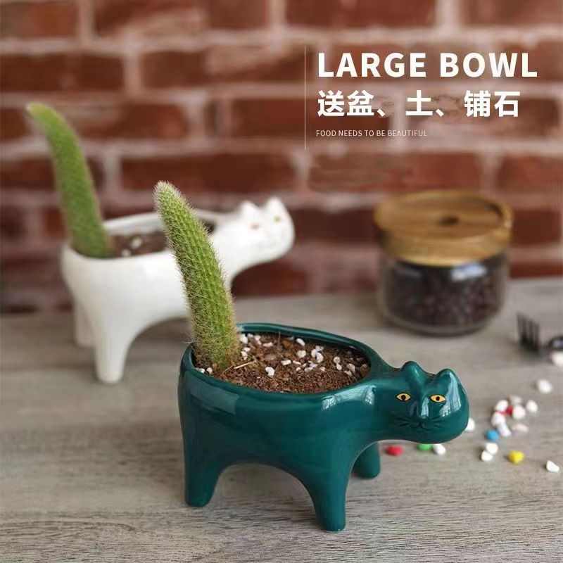 【送盆土铺石】猴尾巴猫咪花盆九尾狐多肉植物创意绿植花卉盆栽