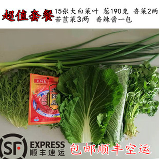 大白菜叶子葱 农家饭包白菜叶香菜蘸酱小菜打饭包白菜叶包邮顺丰