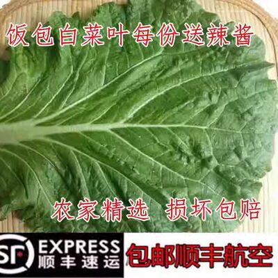 东北新鲜大白菜叶打饭包打菜包