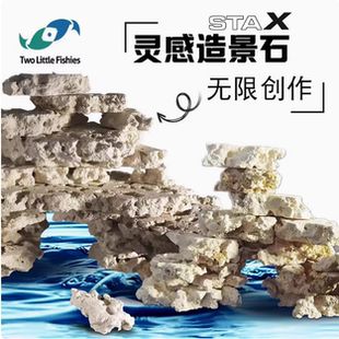 两只小鱼灵感造景石海缸培菌造景石免暴藻STAX自然造景石随意摆放