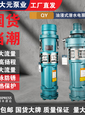 浙江大元QY油浸式潜水泵抽水泵农用船用喷泉高扬程大流量市政工程