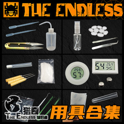 【TE猎奇】爬宠 爬虫 跳蛛蜘蛛 螳螂 蚂蚁 昆虫 宠物饲养用品工具