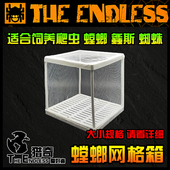 网格饲养盒 异宠 TE猎奇 昆虫 爬虫 蜘蛛 网箱 螳螂网箱 饲养