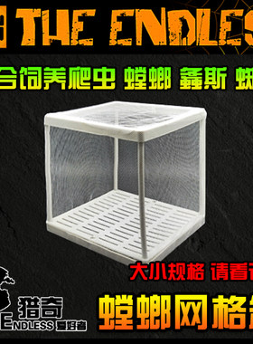 【TE猎奇】爬虫 异宠 螳螂网箱 蜘蛛 昆虫 饲养 网箱 网格饲养盒