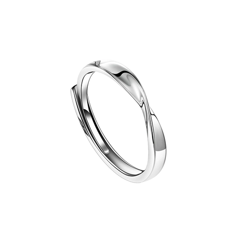 Lane South Pure Silver Mobius Ring Nishe вместе