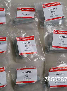 议价T55A4800 T55A2800 T55A1800NORGERN止逆阀T65C2800 T55C2800