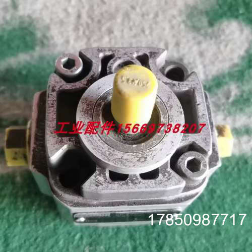 议价齿轮泵 PGF11-21/5.0RA01VP1 R900932137 ZDR6DP0-45/40YMW8
