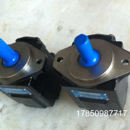 议价T6DCCM-B38-B22-B12-3R01-B100  丹尼逊  T6CC-B28-B22-1R03-