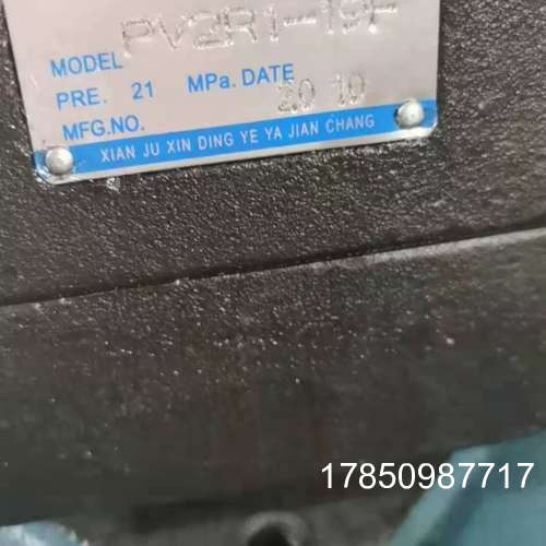 议价SUNNY内啮合高压齿轮泵3520VQ-30A11-1DD20R议价