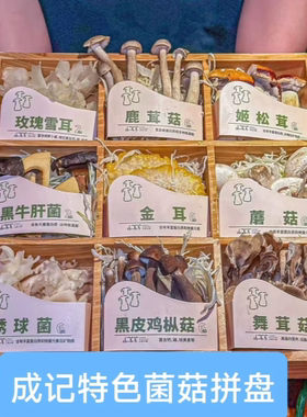 鸡枞菌特产菌菇煲汤食材新鲜菌菇