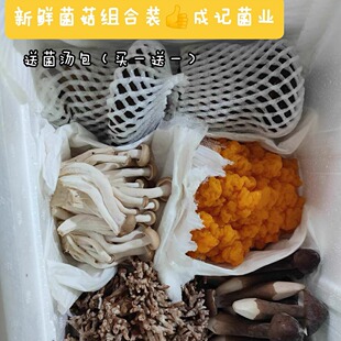 包邮 鲜菌菇组合装 多个品种一次尝鲜广东省内 送菌汤包一份 家庭装