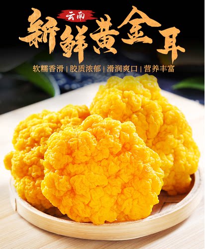 福利新鲜金耳菌买3斤送1斤黄金耳非干货银耳菌金耳黄耳500g煲汤料