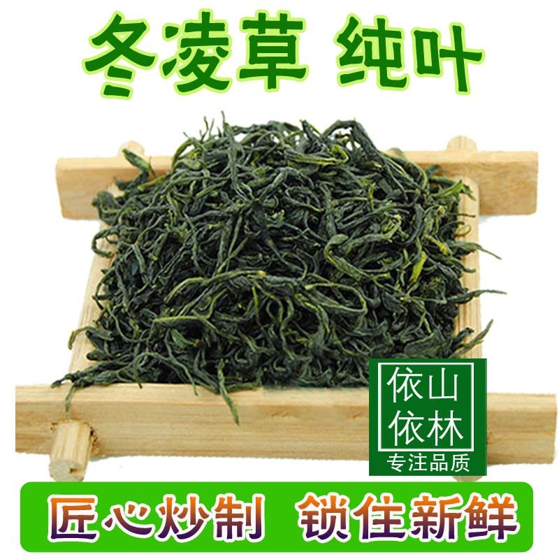 冬凌草冬凌清青炒茶纯叶嫩尖好嗓子野生冬凌草茶喉咙有痰异物感