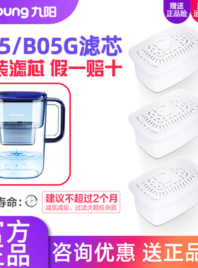 九阳净水壶JYW-B05/B05G滤芯 家用滤水壶净水杯滤水器滤芯