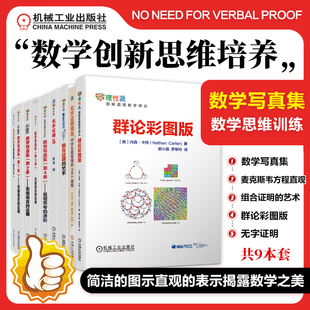 群论彩图版 思维训练机工社 第1 数学创新思维培养图解直观数学 无字证明5 麦克斯韦方程直观 艺术 组合证明 4季 数学写真集 9册