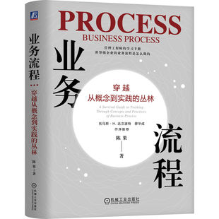 业务流程 穿越从概念到实践的丛林 陈果 著 企业管理工程师的实践手册 9787111761952 机工社