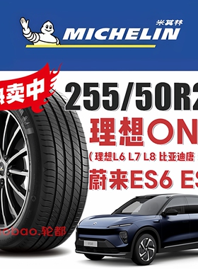 米其林轮胎 255/50R20 109V 适配理想ONE L6 L7 L8 比亚迪唐 途昂