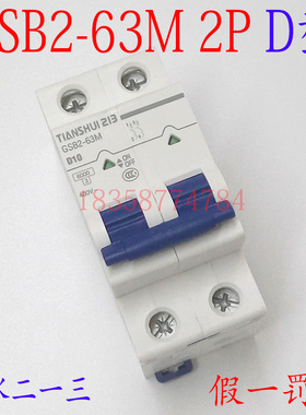 原装正品天水二一三小型断路器GSB2-63M/2P D1-6A 10-32A 40-63A