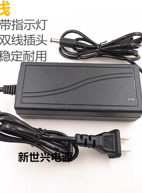 DC15V3A电源适配器 音响15V3000MA双线电源线 充电器
