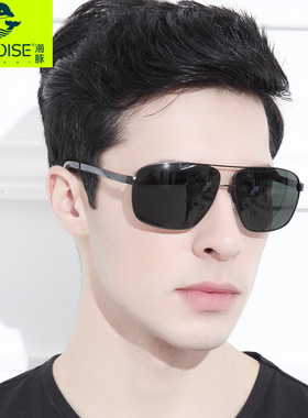 墨镜太阳眼镜海豚偏光