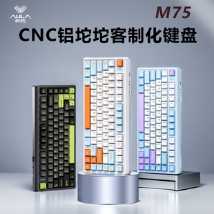 狼蛛M75机械键盘铝坨坨GASKET结构RGB光效客制化成品三模无线蓝牙