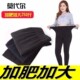 莫代尔胖mm踩脚裤 2024新款 袜200斤女裤 打底裤 子 春秋加肥加大码