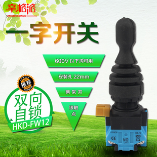 摇杆开关 防水型 双向自锁22mm FW12 主令开关控制器 十字开关HKD