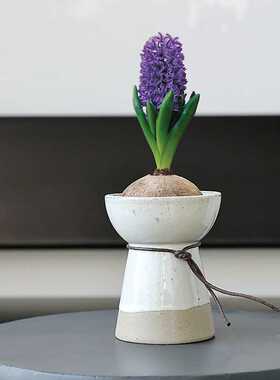 北欧家居个性桌面花器种球风信子