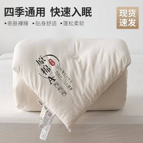 大豆纤维被春秋被冬被四季通用