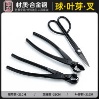Dingmu Qiu Jie Jian, a specialized tool for bonsai pruning and shaping, specializes in making spherical scissors, spherical pliers, and branches, leaves, and buds thumbnail 2