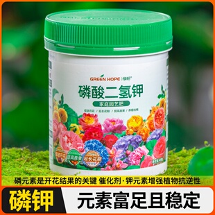 栀子花专用肥料盆栽黄叶硫酸亚铁养料磷酸二氢钾酸性营养液调节土