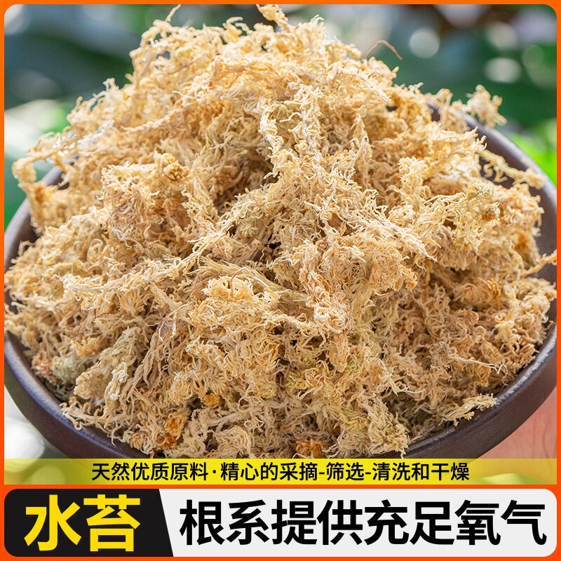 蝴蝶兰食虫草专用毛毛虫干草水苔透气保湿栽培基质专用环保天然苔